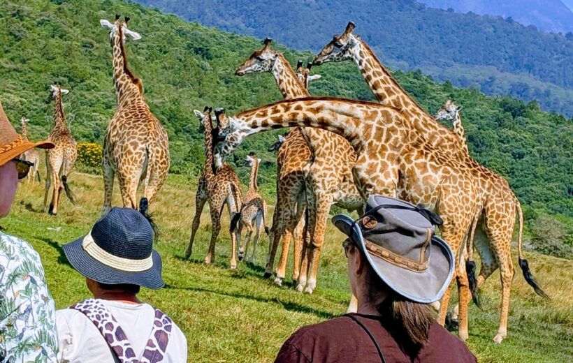 Arusha National Park Day Trip