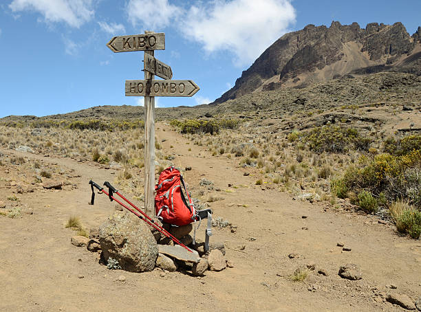 7 Days Kilimanjaro Climb Via Rongai Route