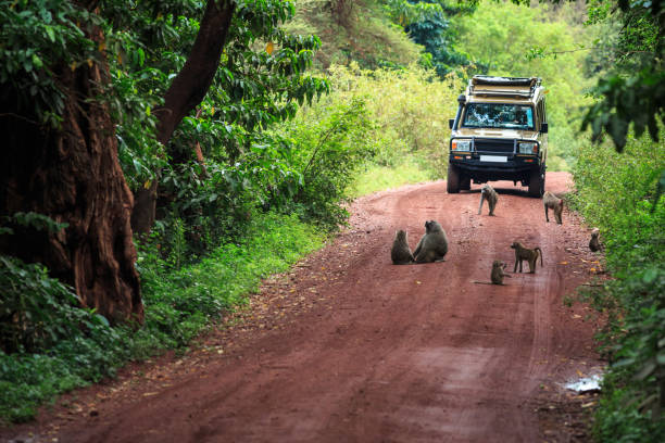 Lake Manyara National Park Day Trip