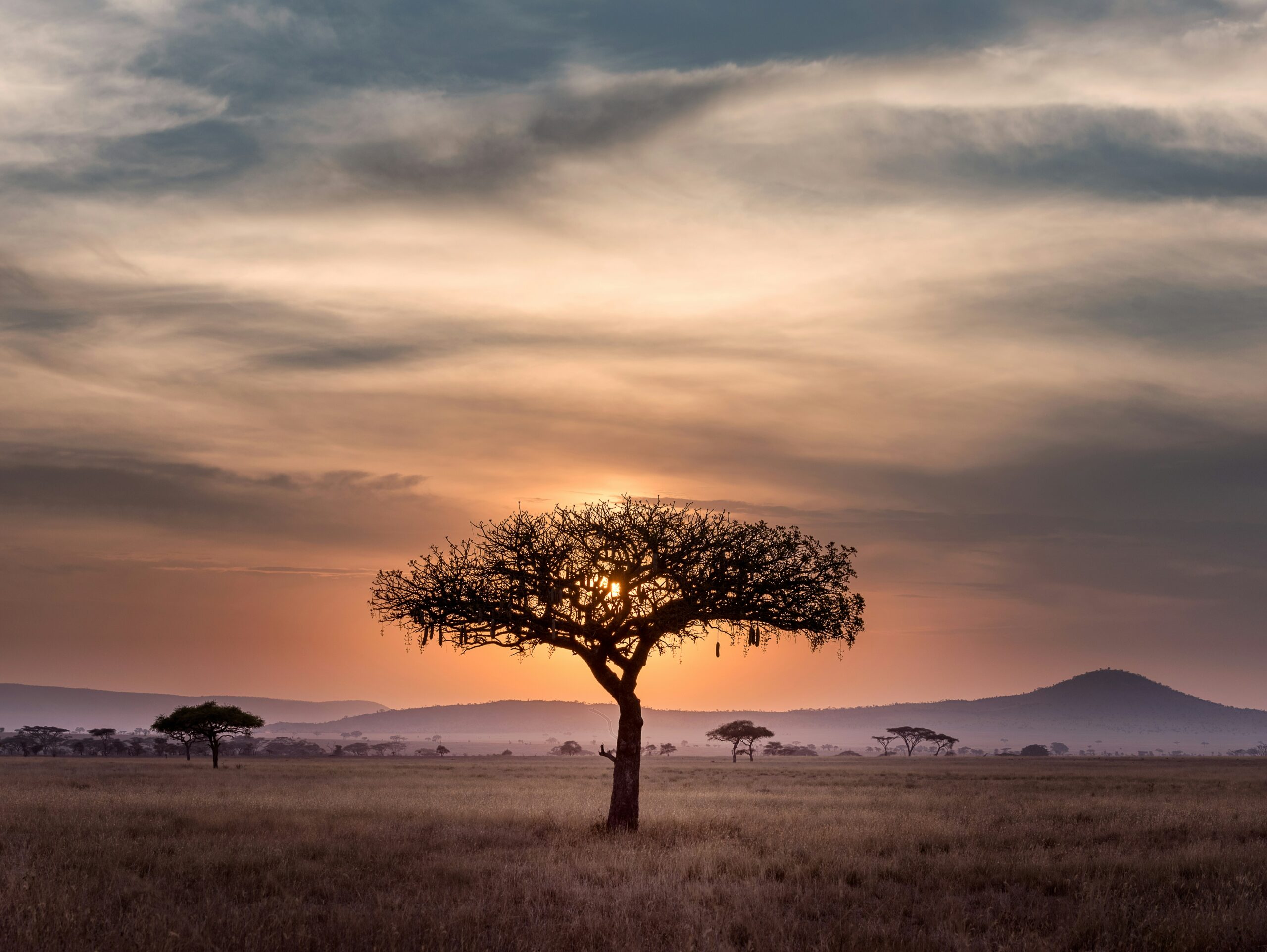 5 Day Tarangire, Serengeti, Ngorongoro Crater & Lake Manyara